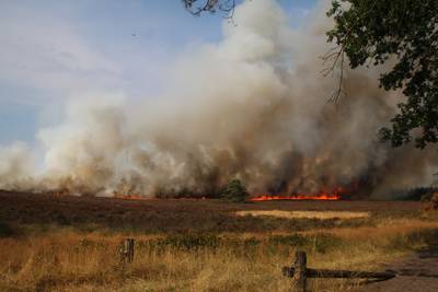 Toeschouwers bemoeilijken blussen flinke heidebrand Elspeet