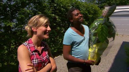 Aflevering 8