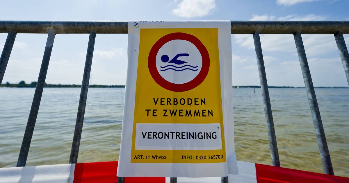 Vijver De Bron Barst Van Ziekmakende Blauwalg Amersfoort Ad Nl