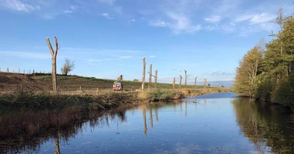Verontwaardiging over kaalslag op Schouwse Dijk