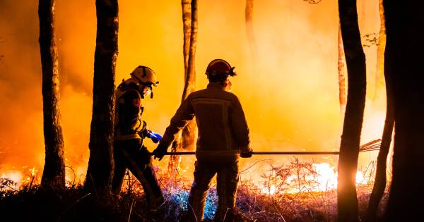 Aangifte Staatsbosbeheer: grootste natuurbrand van Nederland lijkt aangestoken - BN DeStem