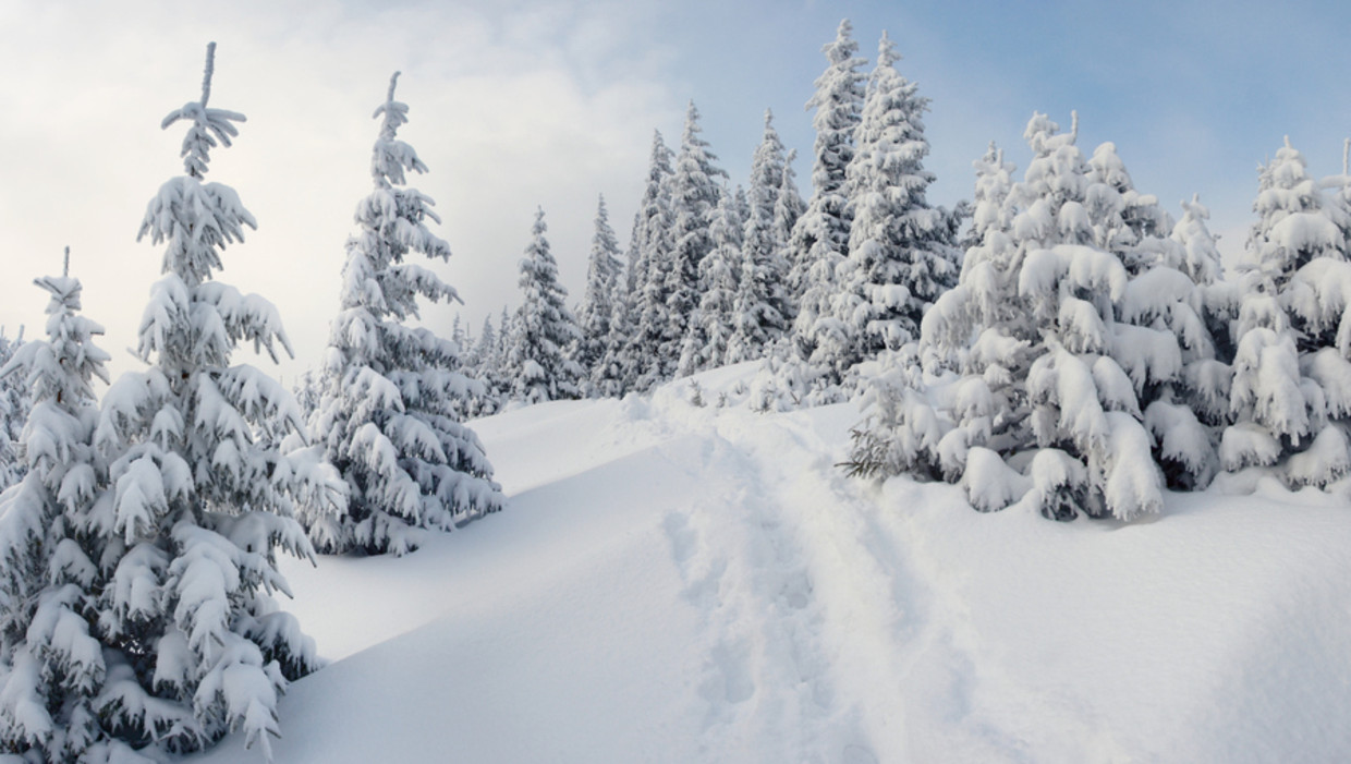 Sneeuw Op Komst Vanaf Donderdag Winter In Alpen De Morgen