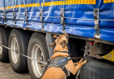 Twaalf levende migranten gevonden in Belgische koeltruck