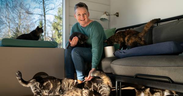 Met al die katten en zónder drankkaters is Arianne de Jong simpelweg gelukkig: 'Dit is wie ik ben' -