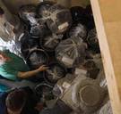 Vaticaan: geen link tussen beenderen in kerkhof en sinds 1983 vermiste tiener