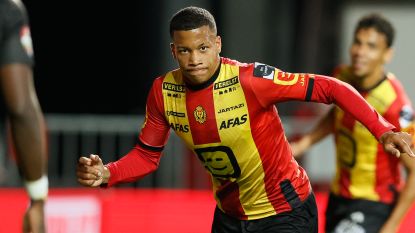 Aster Vranckx Hln