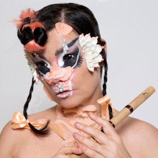 Björk landt in Vorst: het IJslandse raadsel blijft intact